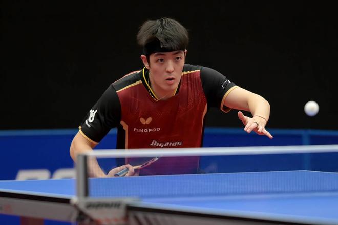 青年游泳锦 青年游泳锦