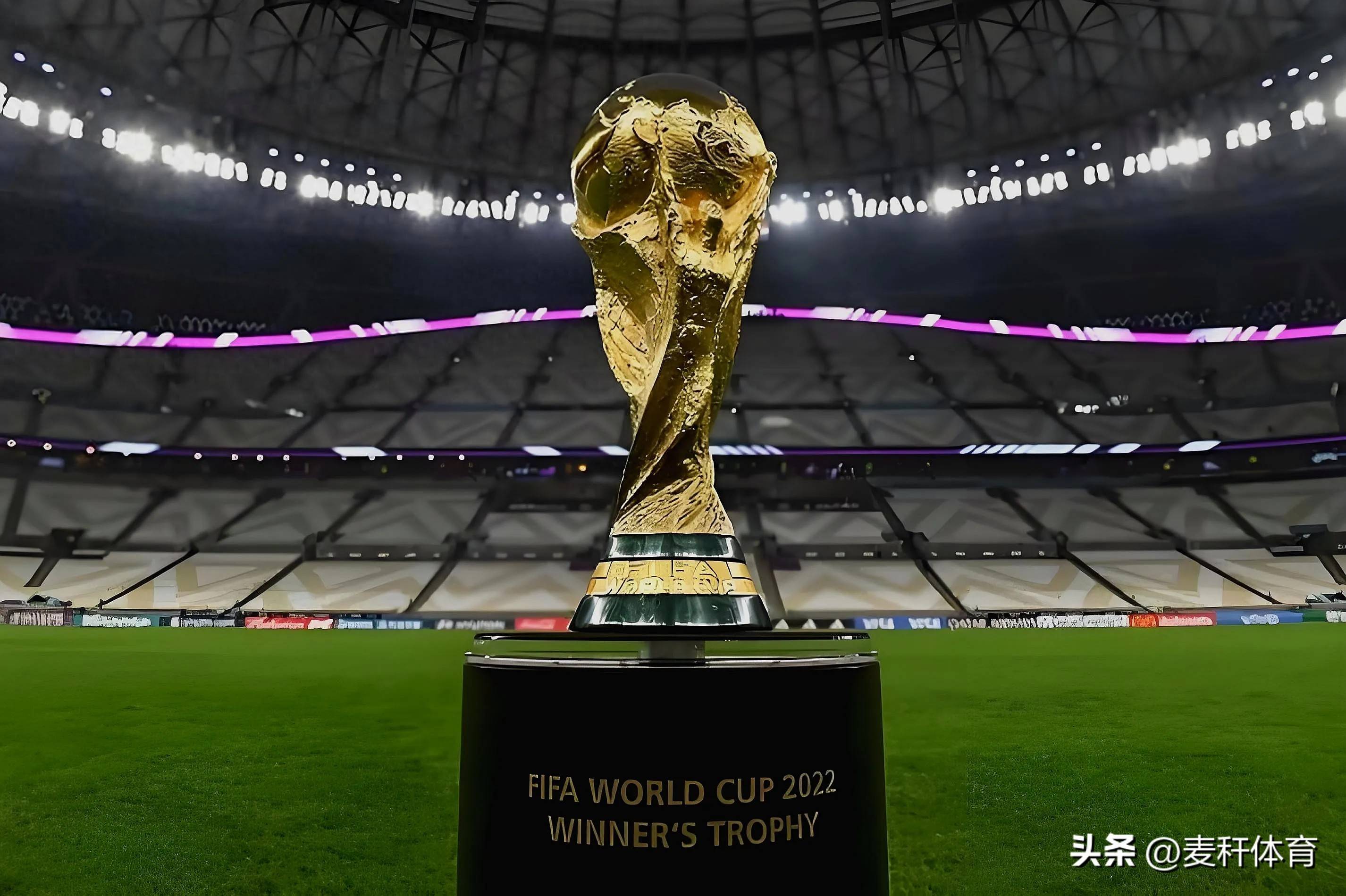 综上所述 综上所述