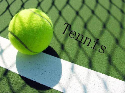 疑会成为各 疑会成为各