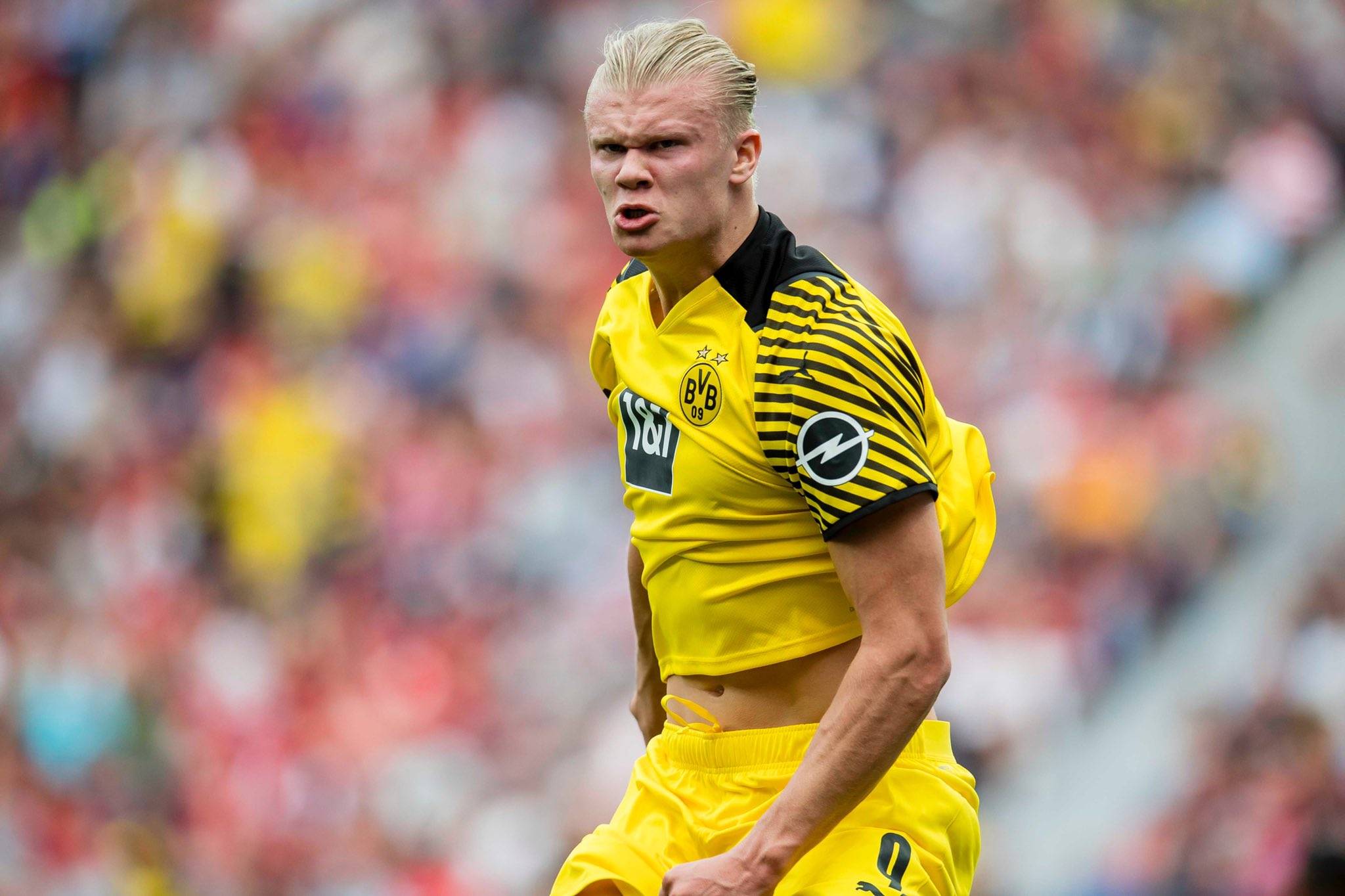 封闭式球场 封闭式球场